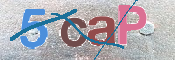 CAPTCHA kép